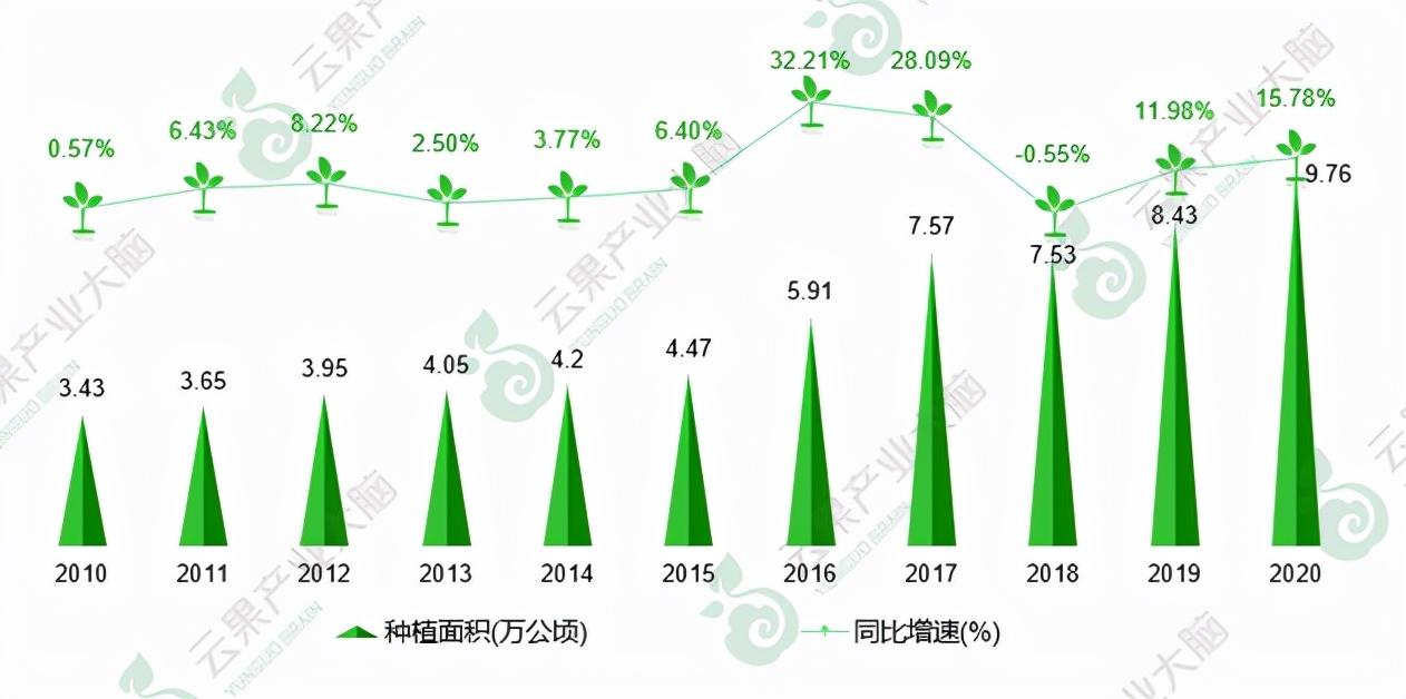富硒矛岩莓茶(茅岩莓茶的功效与作用一)-硒宝网
