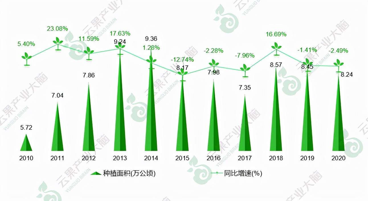 富硒矛岩莓茶(茅岩莓茶的功效与作用一)-硒宝网