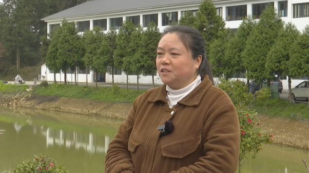 百色富锌硒茶(富锌富硒茶)-硒宝网