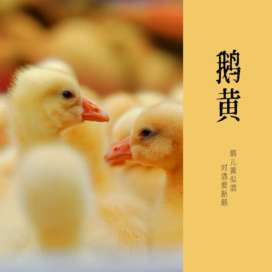 三江茶富硒么(三江茶厂)-硒宝网