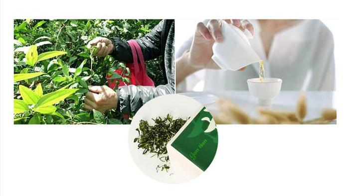 四季绿富硒茶（四季茶）-硒宝网