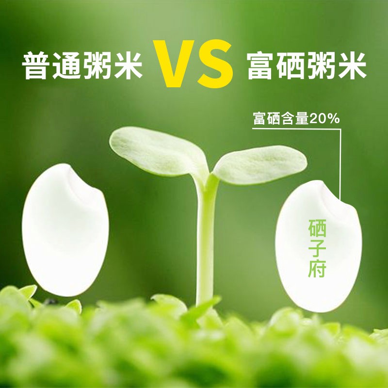 冷泥富硒大米(冷泥富硒大米价格)-硒宝网