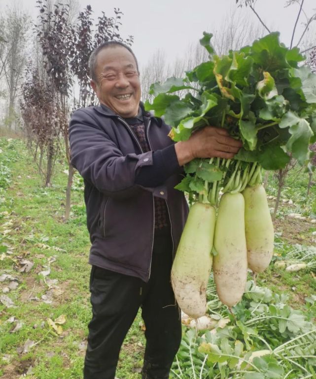 大米姐富硒米(富硒大米的吃法)-硒宝网