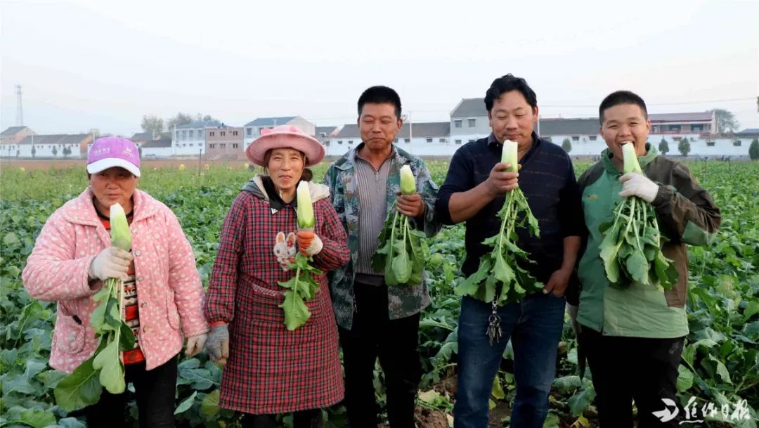 大米姐富硒米(富硒大米的吃法)-硒宝网