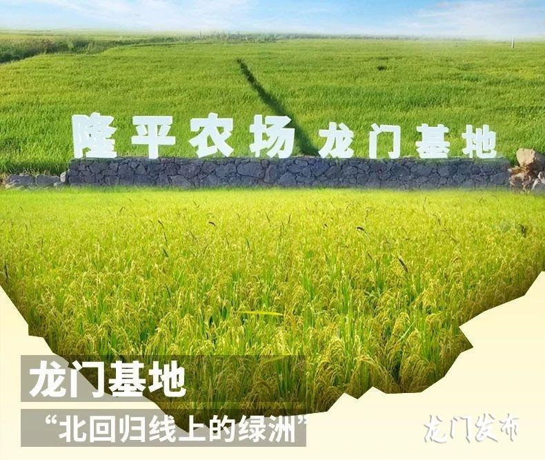 寿宁富硒大米（富硒的大米）-硒宝网