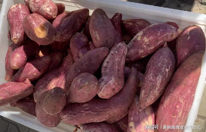 富硒大米口感（富硒的大米）-硒宝网