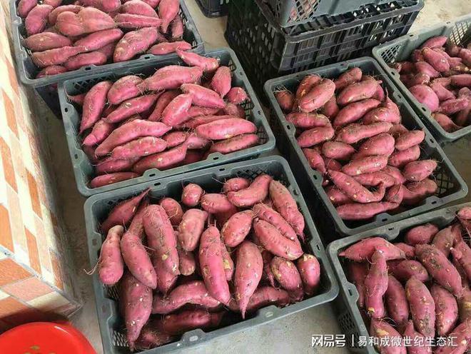 富硒大米口感（富硒的大米）-硒宝网