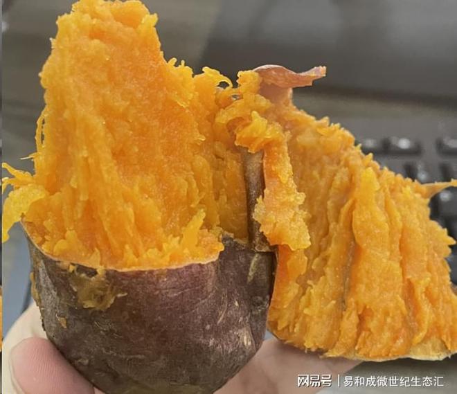 富硒大米口感（富硒的大米）-硒宝网