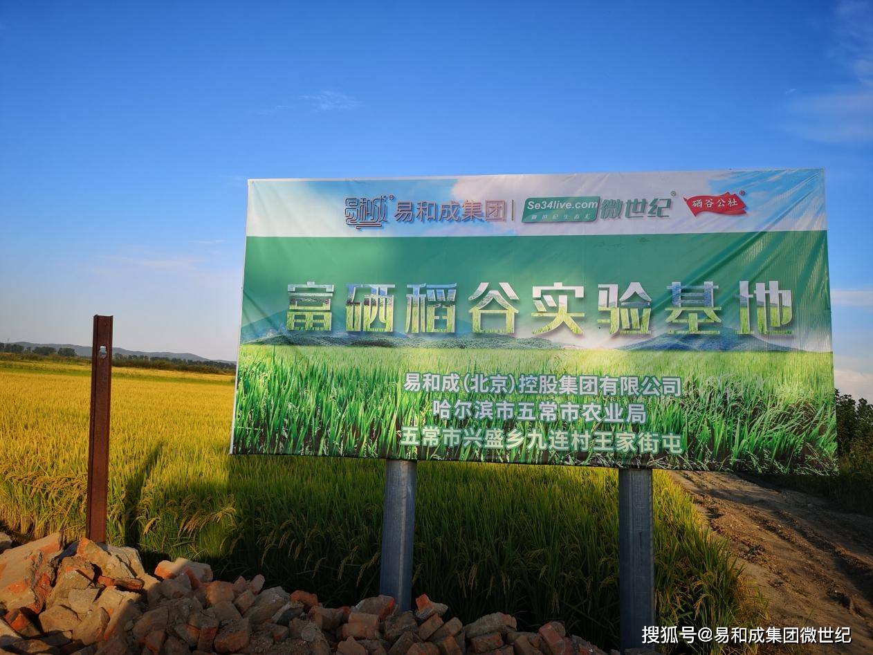 富硒大米市?。ù竺赘晃谐∏熬埃?硒宝网