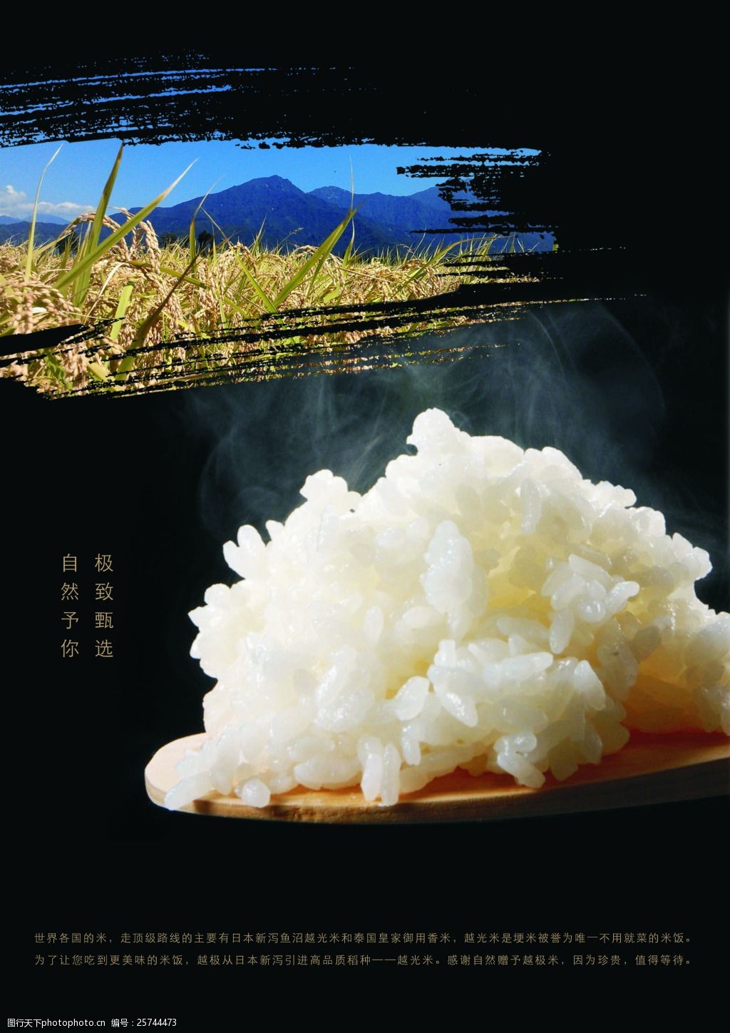 留庄富硒大米(富硒大米有用吗)-硒宝网