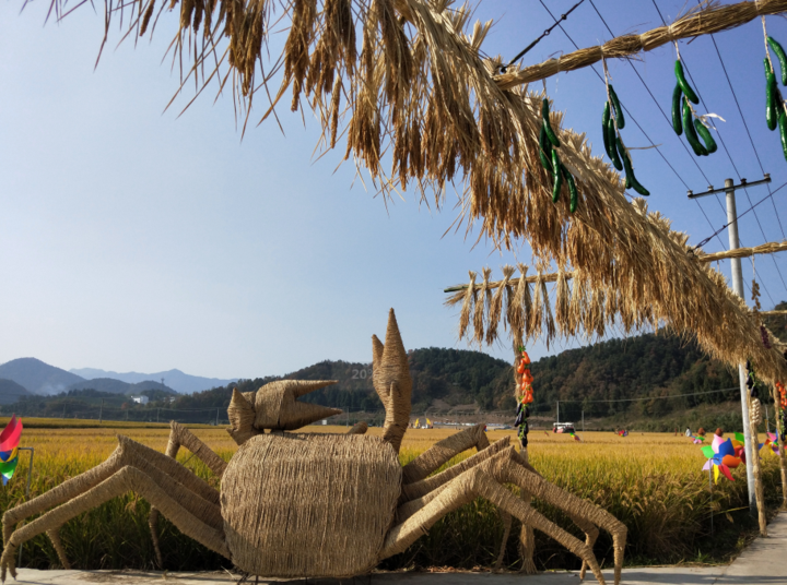 青灯富硒大米(富硒大米的绿色骗局)-硒宝网