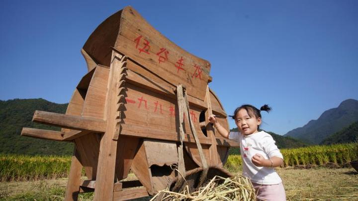 青灯富硒大米(富硒大米的绿色骗局)-硒宝网