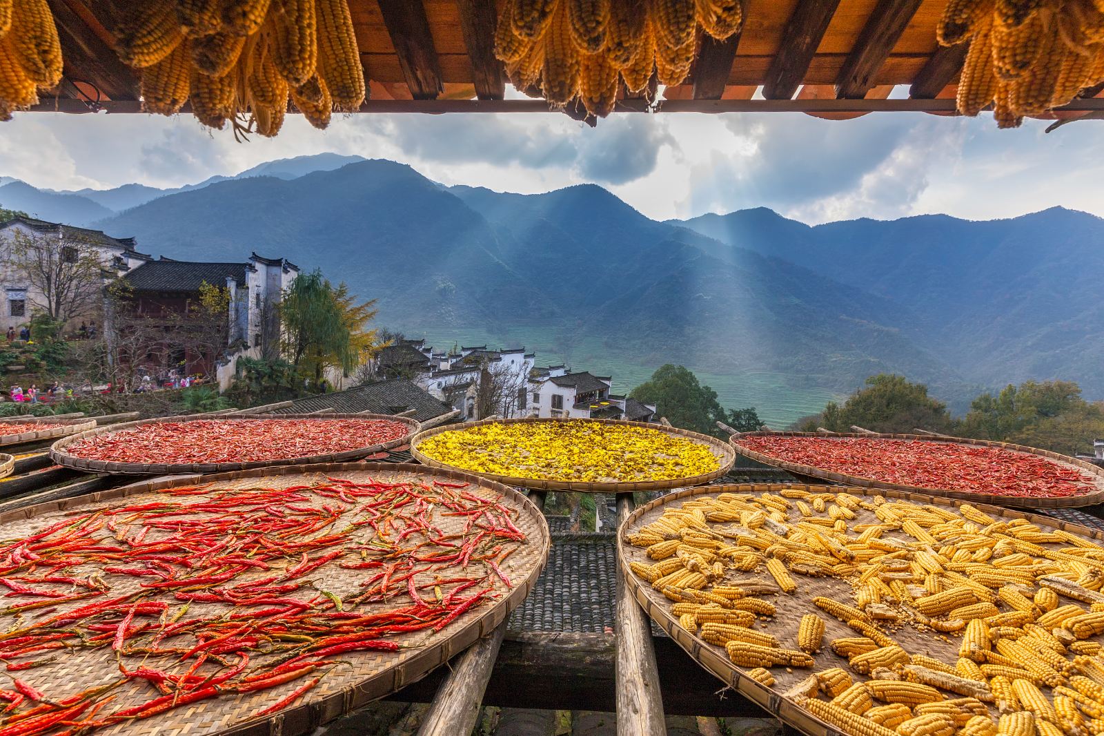 青灯富硒大米(富硒大米的绿色骗局)-硒宝网