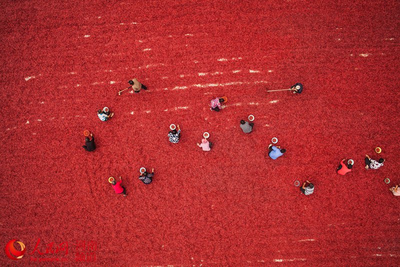 青灯富硒大米(富硒大米的绿色骗局)-硒宝网