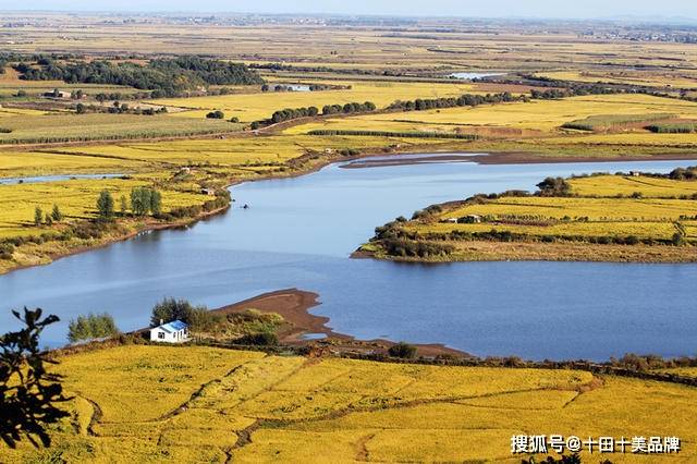 谁要富硒大米(据报道富硒大米有多种保健功能)-硒宝网