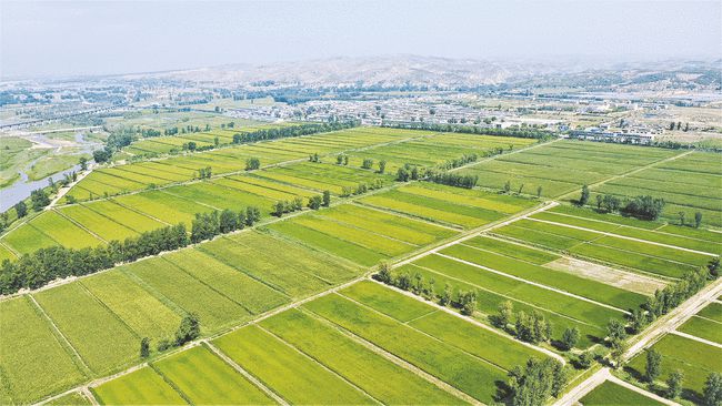 富硒大米公司（富硒大米产地有哪些）-硒宝网