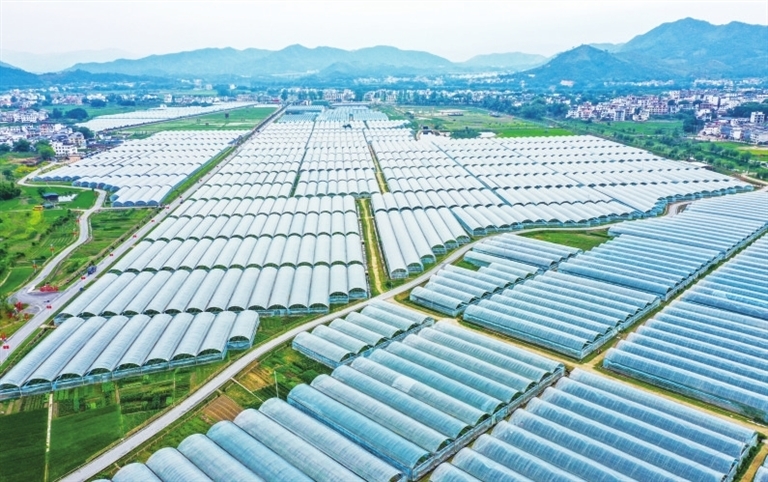 富硒大米公司（富硒大米产地有哪些）-硒宝网