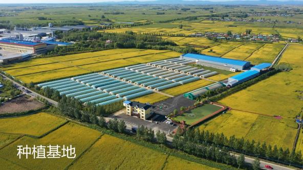 延吉富硒大米(延边富硒大米)-硒宝网