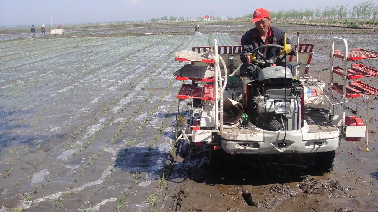 延吉富硒大米(延边富硒大米)-硒宝网