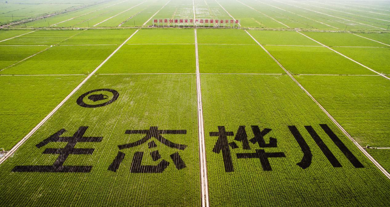 延吉富硒大米(延边富硒大米)-硒宝网