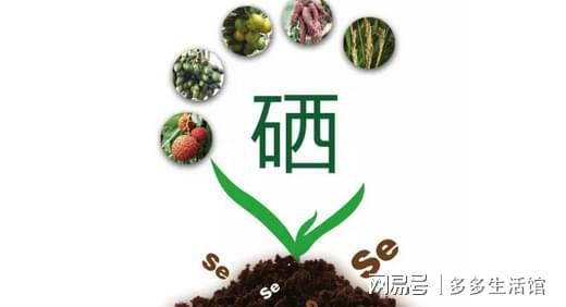 富硒大米编号(富硒大米国标含量)-硒宝网