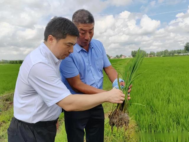 富硒大米吃了（吃富硒大米有哪些不良反应）-硒宝网