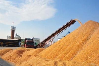 谁要富硒大米（富硒大米能补硒吗）-硒宝网