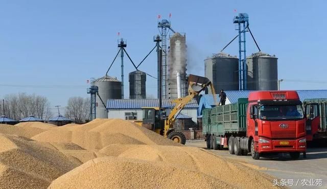 谁要富硒大米（富硒大米能补硒吗）-硒宝网