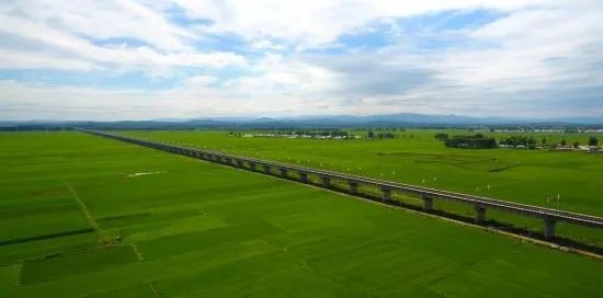 富硒大米之乡(富硒大米市场前景)-硒宝网