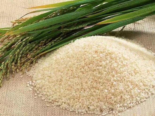 大米富硒大米（大米富硒含量标准）-硒宝网