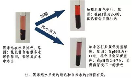 富硒大米口感(富硒大米口感如何)-硒宝网