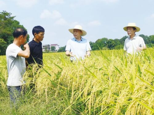 永州富硒大米(富硒大米之乡)-硒宝网