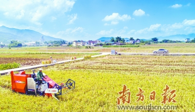 富硒大米是啥(富硒大米的硒指什么)-硒宝网