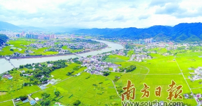 富硒大米是啥(富硒大米的硒指什么)-硒宝网