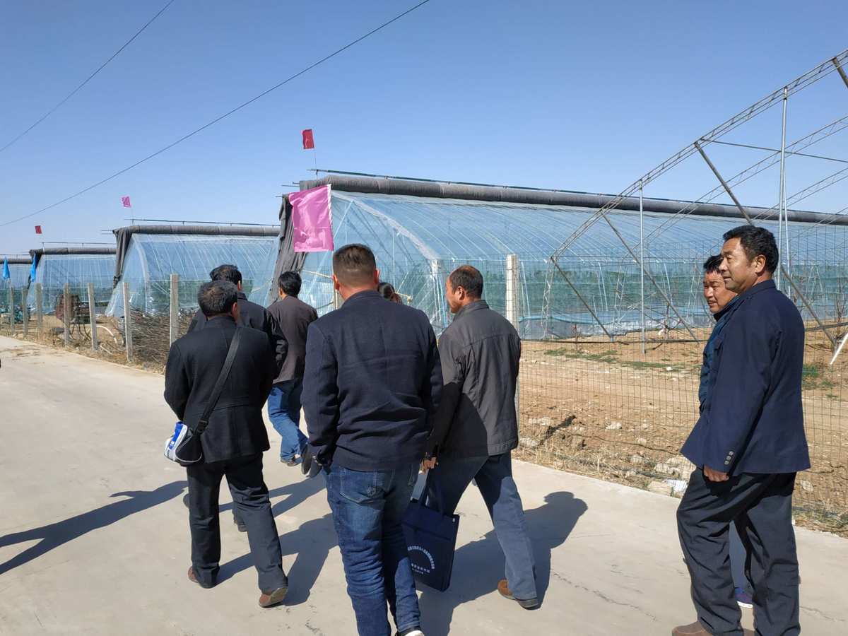 永州富硒大米(富硒优质大米)-硒宝网