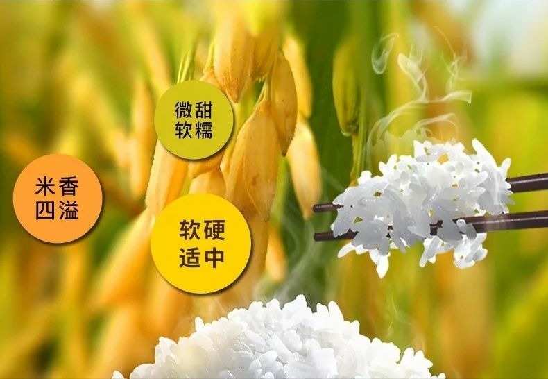 劲标富硒大米(富硒大米标准号)-硒宝网