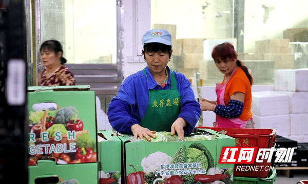 永州富硒大米(富硒大米好在哪)-硒宝网