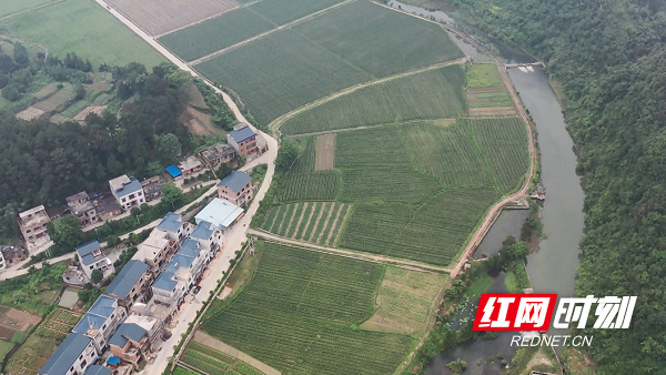 永州富硒大米(富硒大米好在哪)-硒宝网