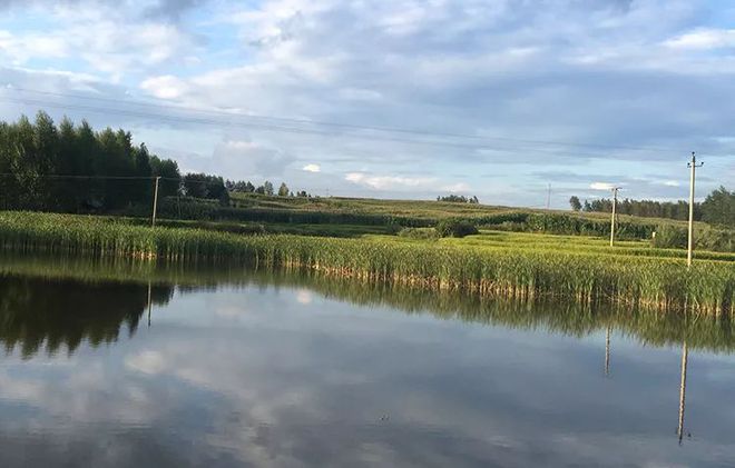 富硒五彩大米（富硒大米的颜色）-硒宝网