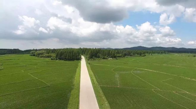 富硒五彩大米（富硒大米的颜色）-硒宝网