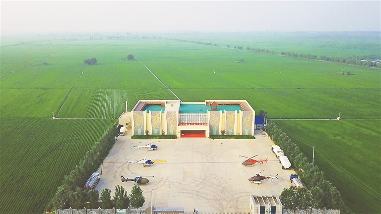 富硒大米产业(富硒大米产量)-硒宝网