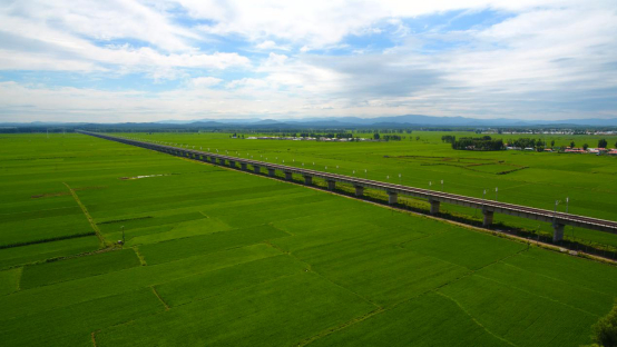 米富富硒大米（富硒大米含硒吗）-硒宝网