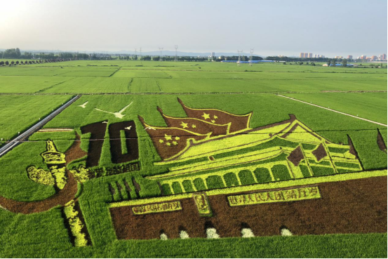 米富富硒大米（富硒大米含硒吗）-硒宝网