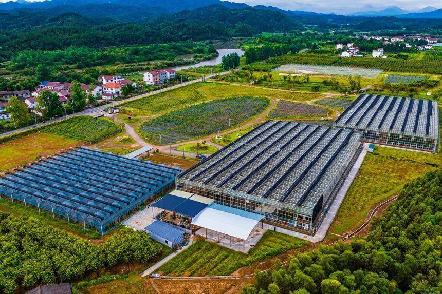 看准富硒大米（大米富硒含硒的国家标准）-硒宝网