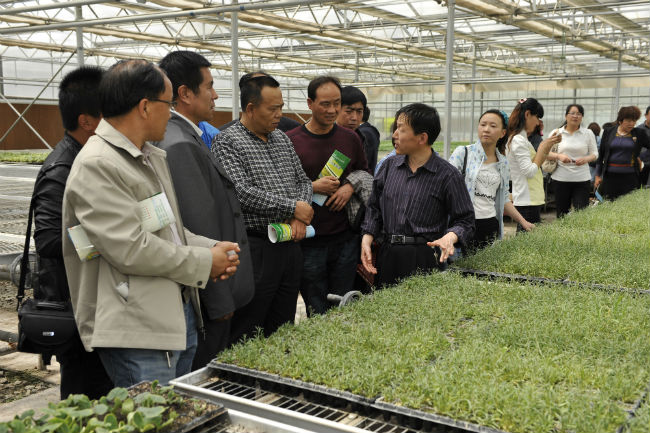 看准富硒大米（大米富硒含硒的国家标准）-硒宝网