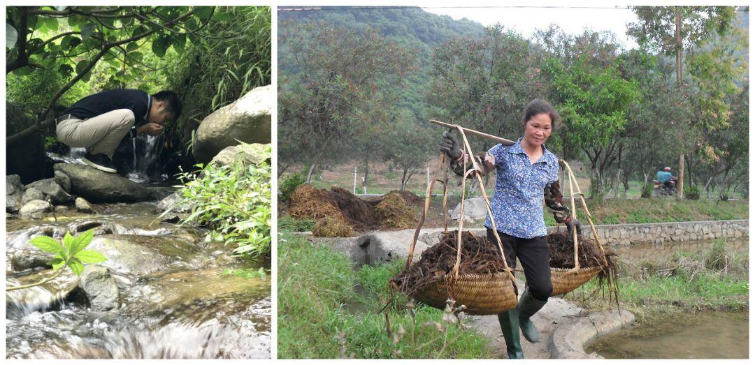 富硒臻品大米（大米富硒臻品图片大全）-硒宝网