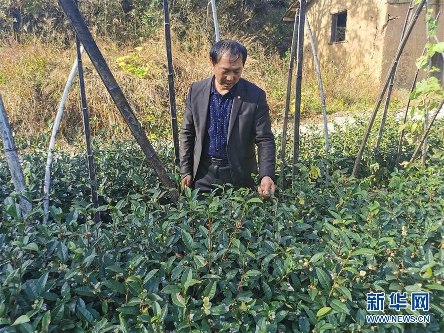 潘锦富硒大米(富锦富硒大米)-硒宝网