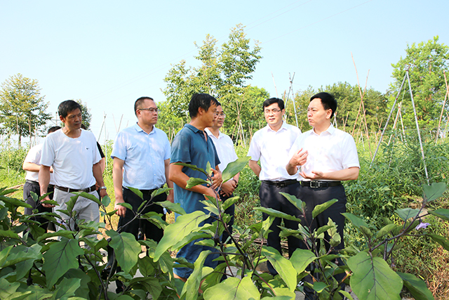 富锌富硒大米（富硒大米含硒吗）-硒宝网