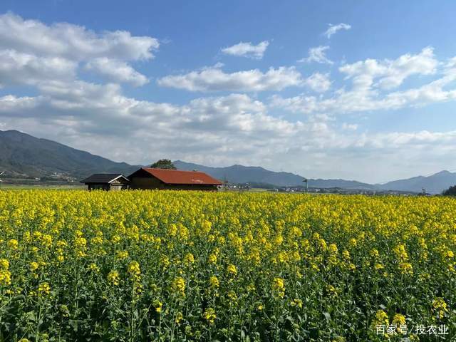 浦塘富硒大米（浦北富硒大米）-硒宝网