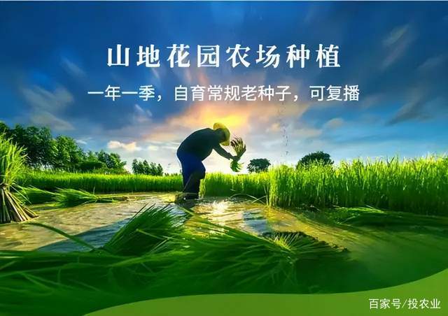 浦塘富硒大米（浦北富硒大米）-硒宝网